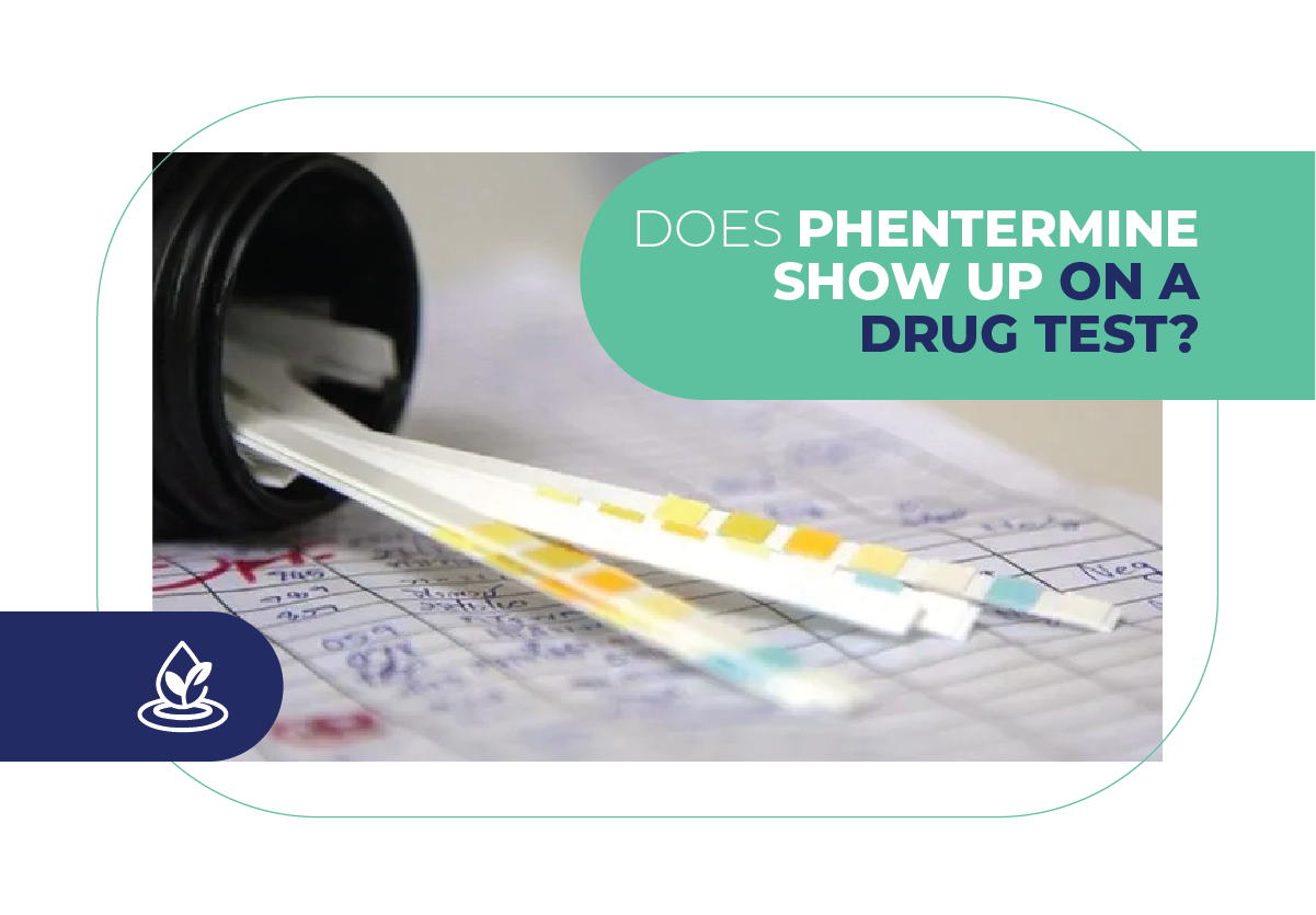 Does phentermine show up on a drug test