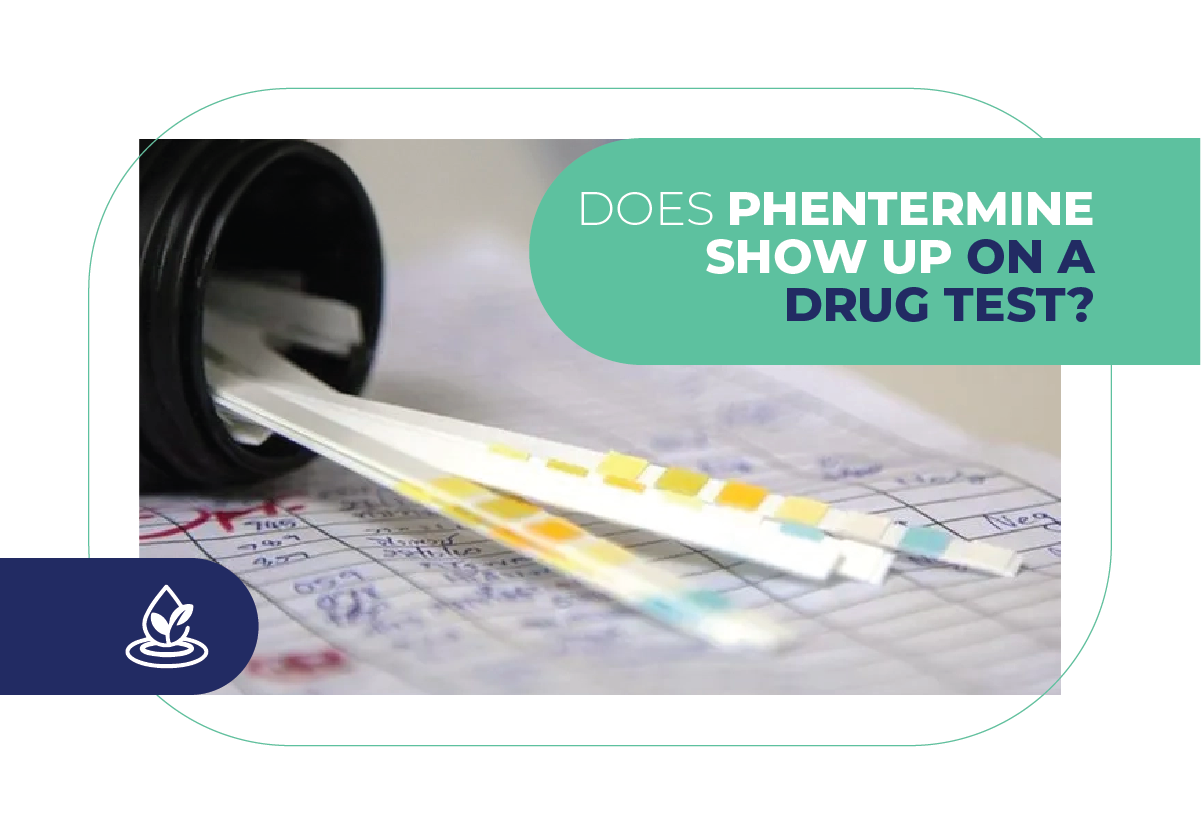 Does Phentermine Show Up on A Drug Test?